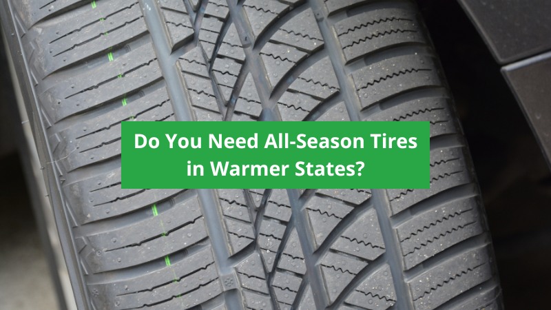 Do You Need All-Season Tires in Warmer States